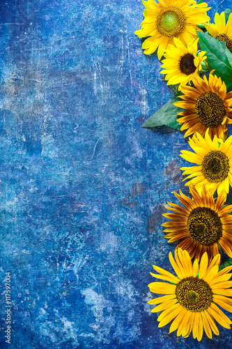 Blue scratched background with sunflowers.