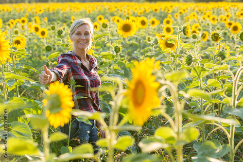female farmer in sunflower field