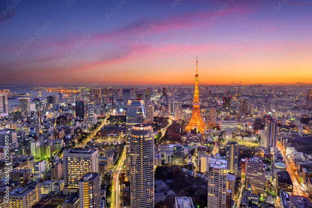 Fototapeta premium Tokio, Japonia Skyline