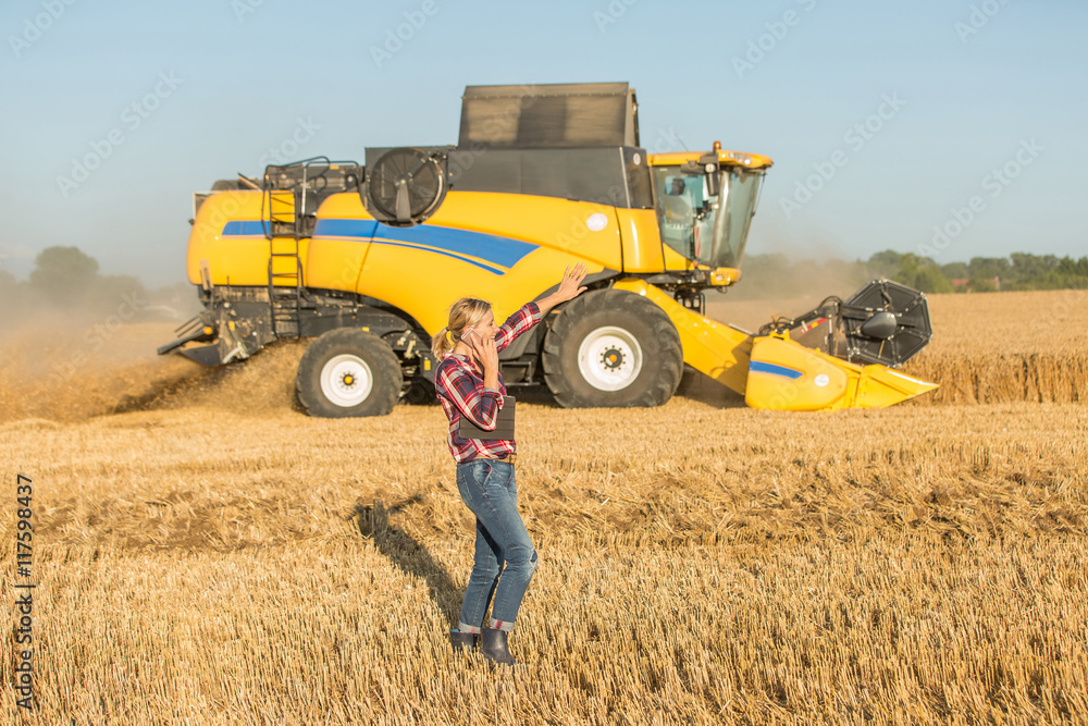 Obraz premium wheat harvest