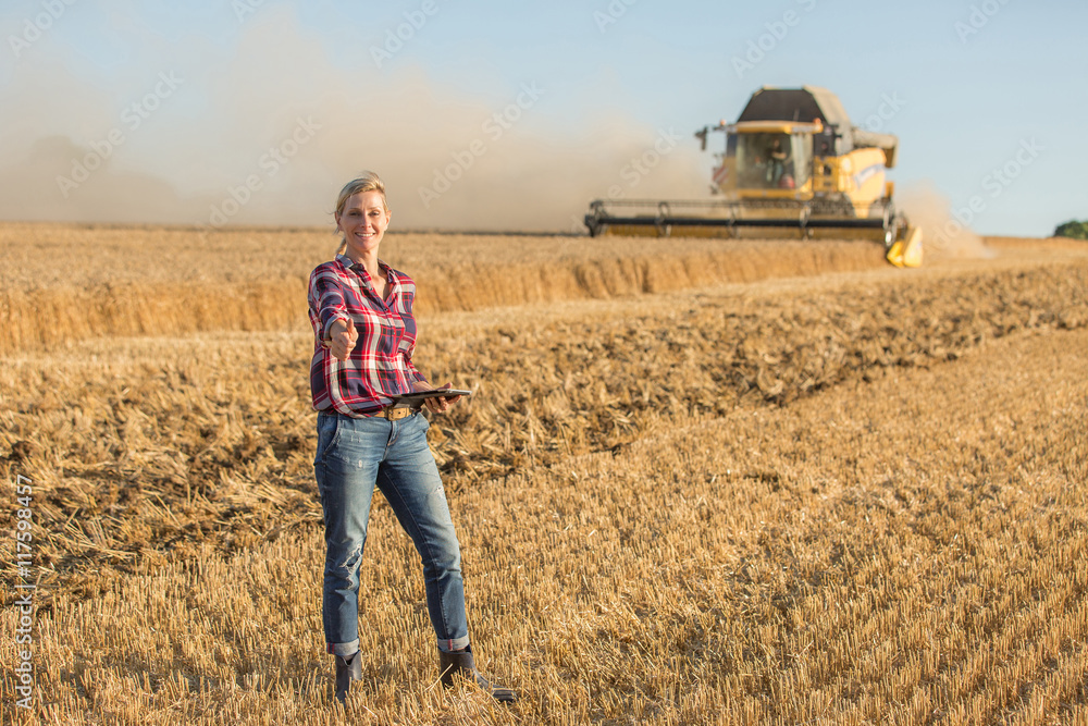 female farmer standing in wheat field female farmer standing in wheat field