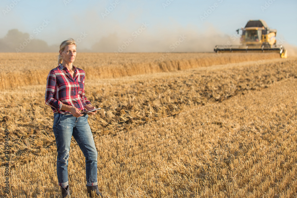 female farmer standing in wheat field female farmer standing in wheat field