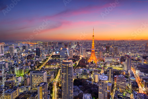 Tokyo, Japan Skyline photo