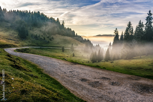 road near foggy forest in mountains