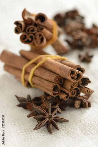 cinnamon stick and star anise spicecinnamon, star, closeup