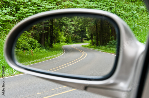 WInding Forest Road in Sideview Mirror