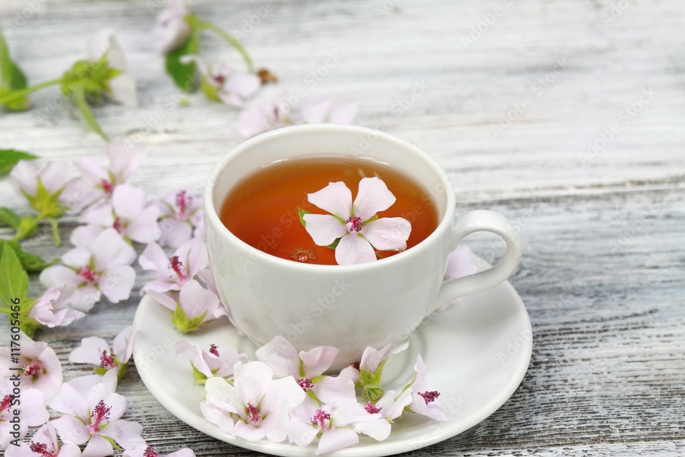 Marsh mallow tea, Althaea officinalis Marsh mallow tea, Althaea officinalis