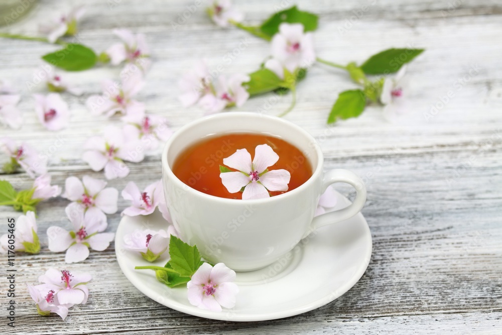 Marsh mallow tea, Althaea officinalis Marsh mallow tea, Althaea officinalis