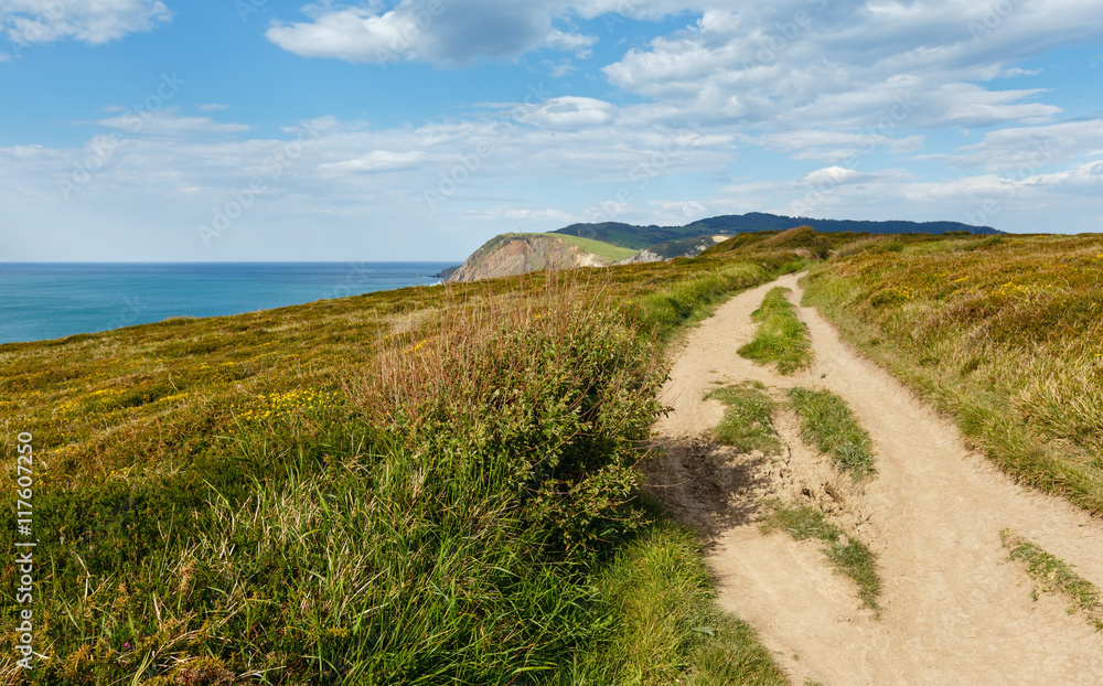Fototapeta premium Summer ocean coastline view near Gorliz town (Spain).
