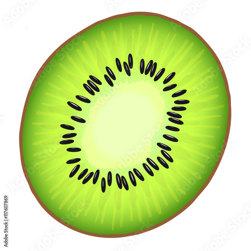 Vector illustrtion of the juicy half of the fresh Kiwi