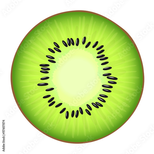 Vector illustrtion of the juicy half of the fresh Kiwi