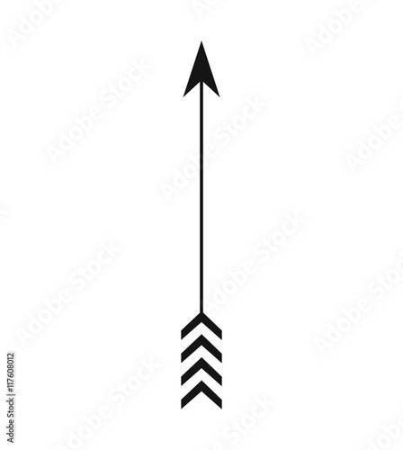 arrow feather vintage decoration icon. Isolated and flat illustration. Vector graphic