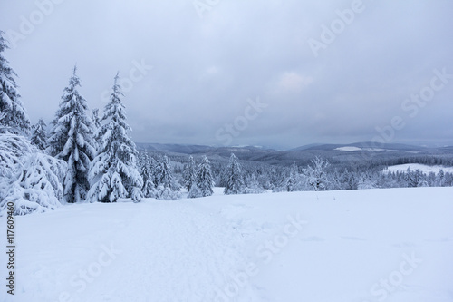 Winter landscape © xiduu