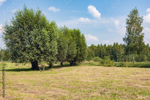 Haymaking on rural field