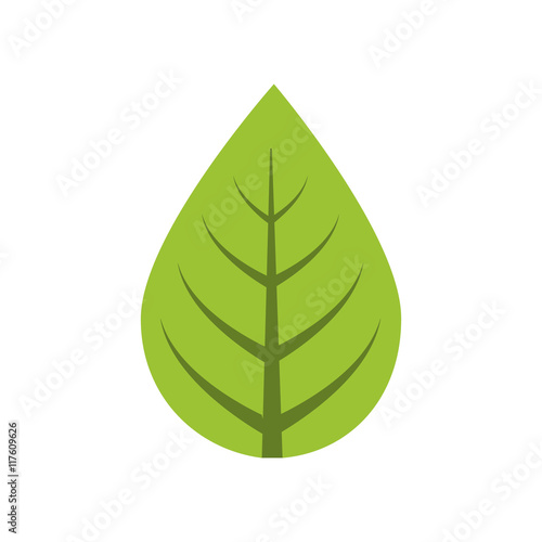 leaf nature plant green icon. Isolated and flat illustration. Vector graphic