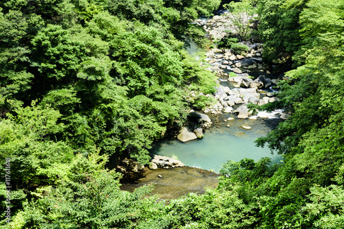 蛇骨川 上流 箱根