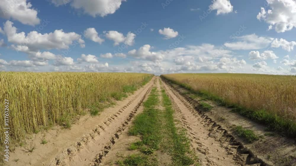Country road through wheat fields on sunny cloudy summer day, time lapse 4K Country road through wheat fields on sunny cloudy summer day, time lapse 4K