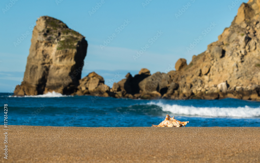 Castlepoint Seashell Beach Waves