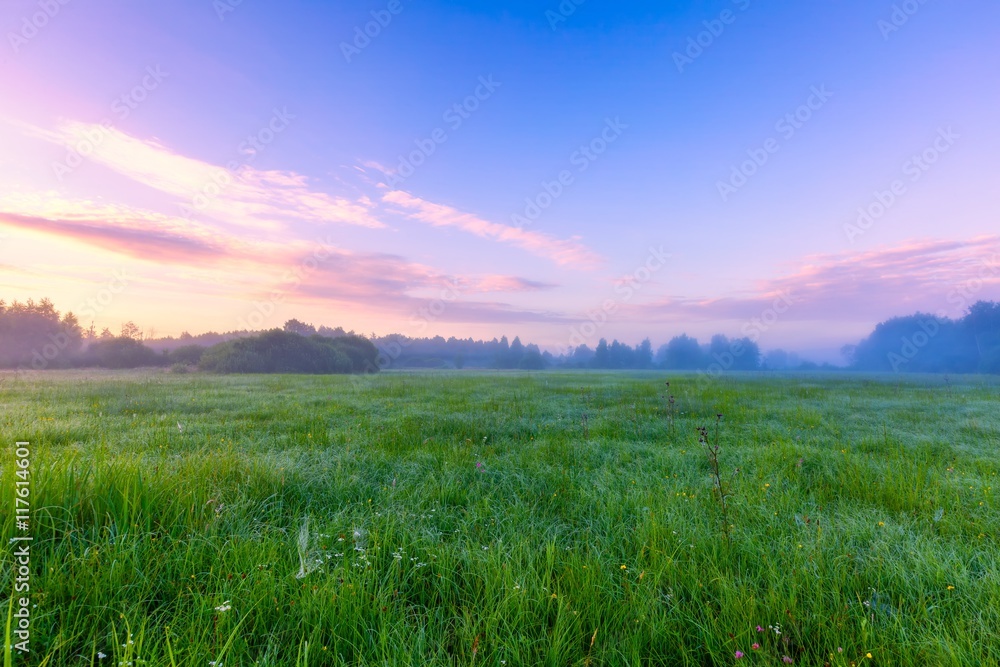 Beautiful morning on foggy meadow