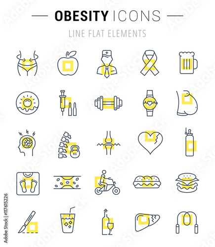 Set Vector Flat Line Icons Obesity