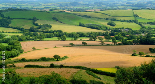 Beautiful farmland landscape in Marshwood Vale near Morcombelake in Dorset, England
