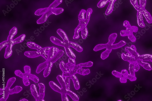 Chromosomes 3d illustration