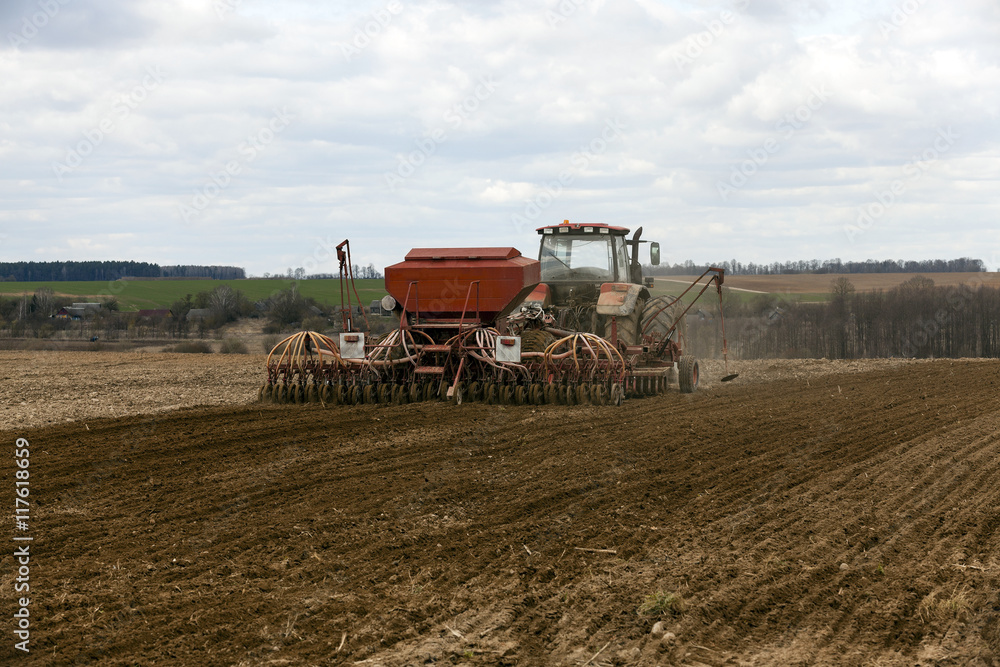 Fototapeta premium farm field cereals