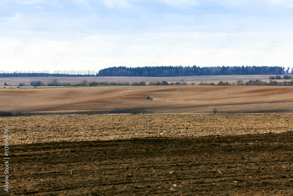 agricultural field with cereal agricultural field with cereal
