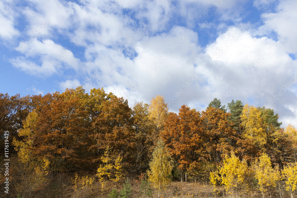 Nature in autumn season