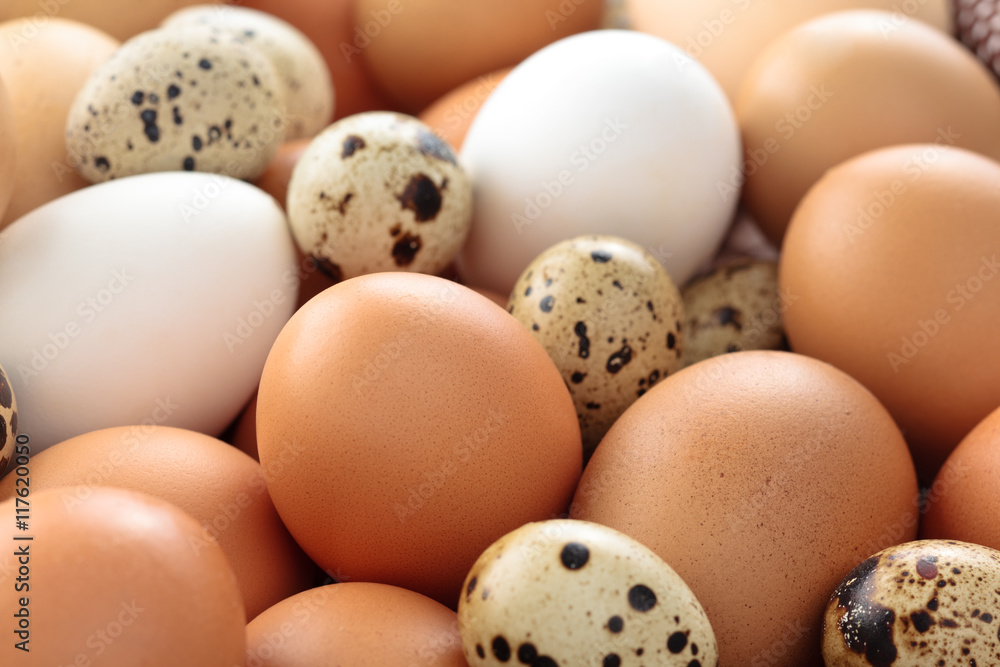 Fresh eggs background. Fresh eggs background.