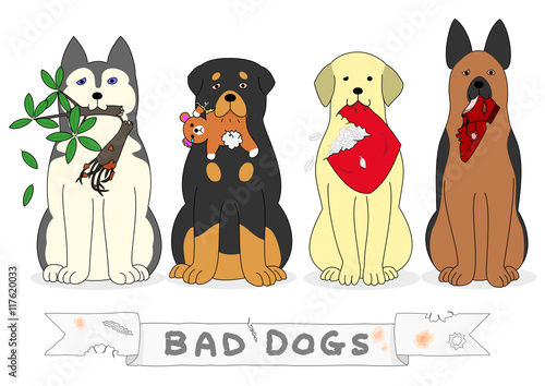 bad dogs