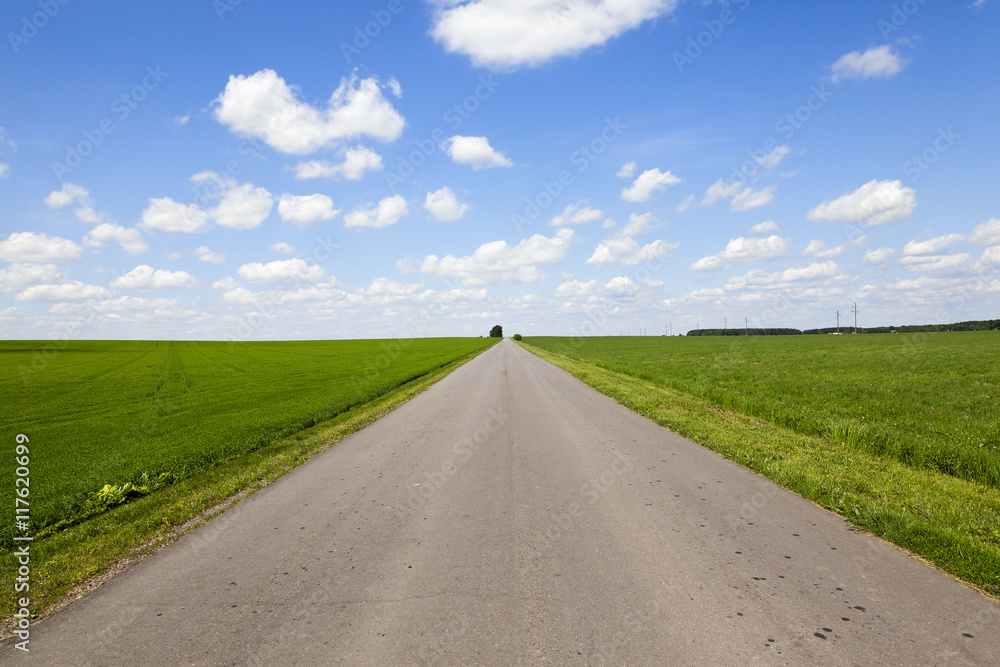 road in a field