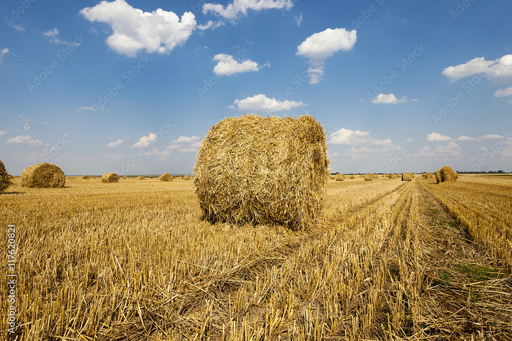 packed straw, cereals