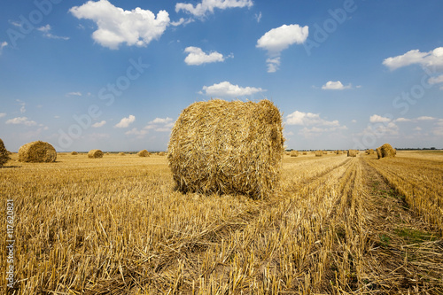 packed straw, cereals