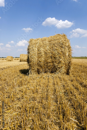 haystacks straw , summer