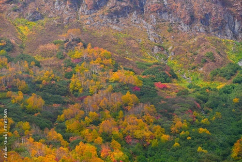 秋の栂池高原 © shikema