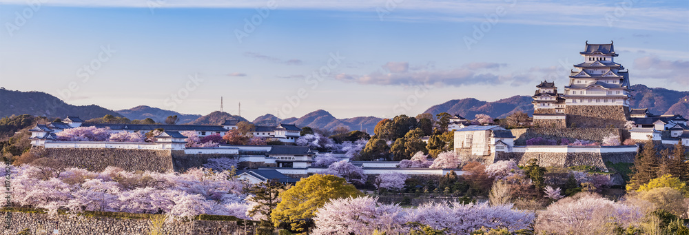 Naklejka premium Japonia Zamek Himeji z oświetleniem w sezonie wiśniowy kwiat sakury