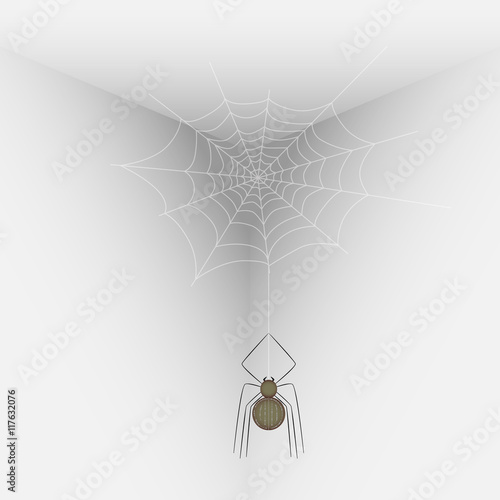 Spider on a web in the corner of the room