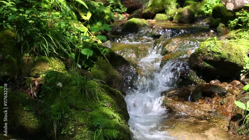 Small creek with clean water in a thicket of grass. Small creek with clean water in a thicket of grass.