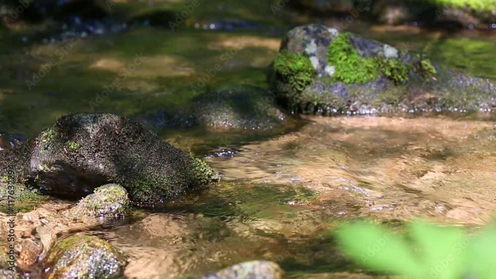 Small creek with clear water in the highlands Small creek with clear water in the highlands