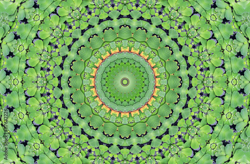 Fototapeta Naklejka Na Ścianę i Meble -  Abstract kaleidoscope seamless pattern with green plants