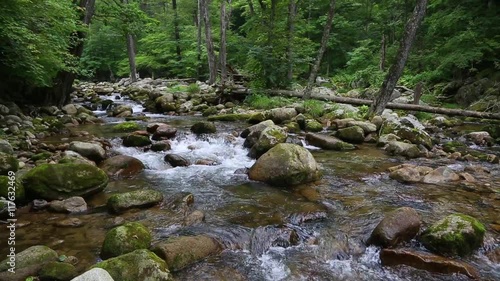 Beautiful summer landscape with a small river in taiga. (With Stereo Sound).
