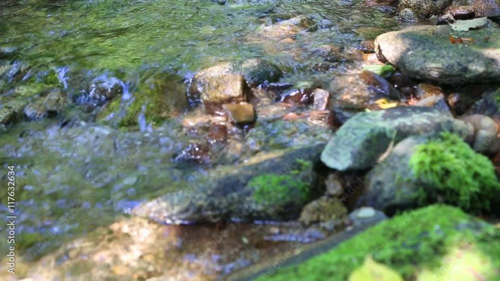 Mountain stream with clear water among the thickets. Mountain stream with clear water among the thickets.