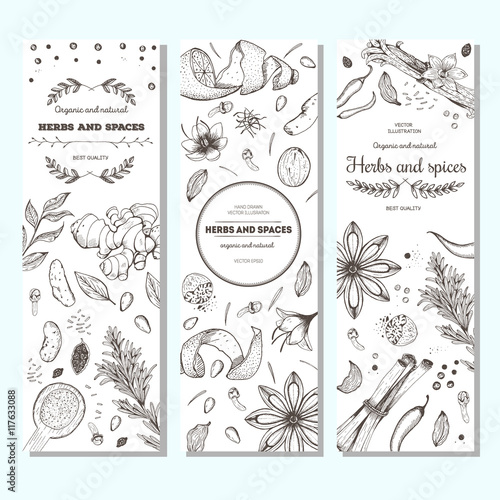 Herbs and spices vintage design template. Vertical banners set. Vector illustration hand drawn linear art.