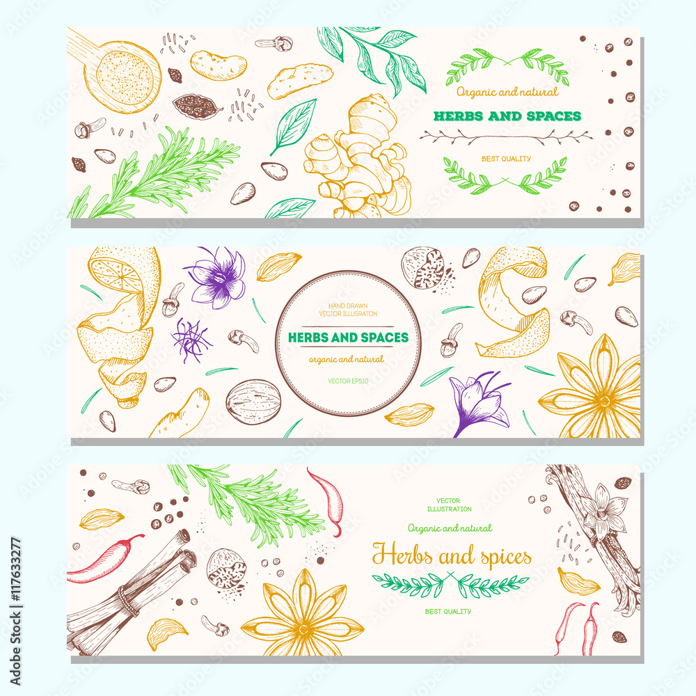 Herbs and spices vintage design template. Horizontal banners set. Vector illustration hand drawn linear art.