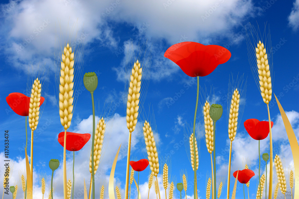 Paysage D Ete Champ De Ble Et Coquelicots Stock Illustration Adobe Stock Paysage D Ete Champ De Ble Et Coquelicots Stock Illustration Adobe Stock