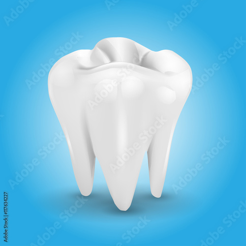 Tooth