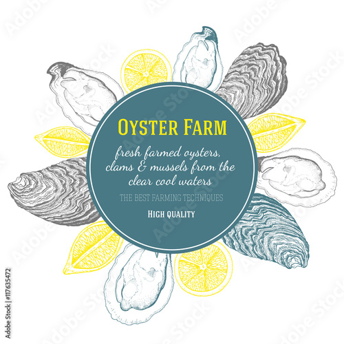 Vector illustration of oyster. Oyster farm and oyster restaurant design template.