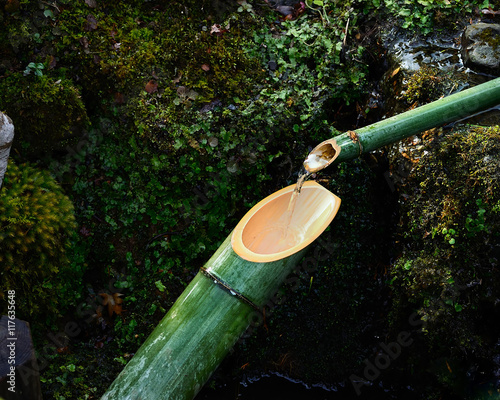 ししおどし　日本庭園　京都 photo