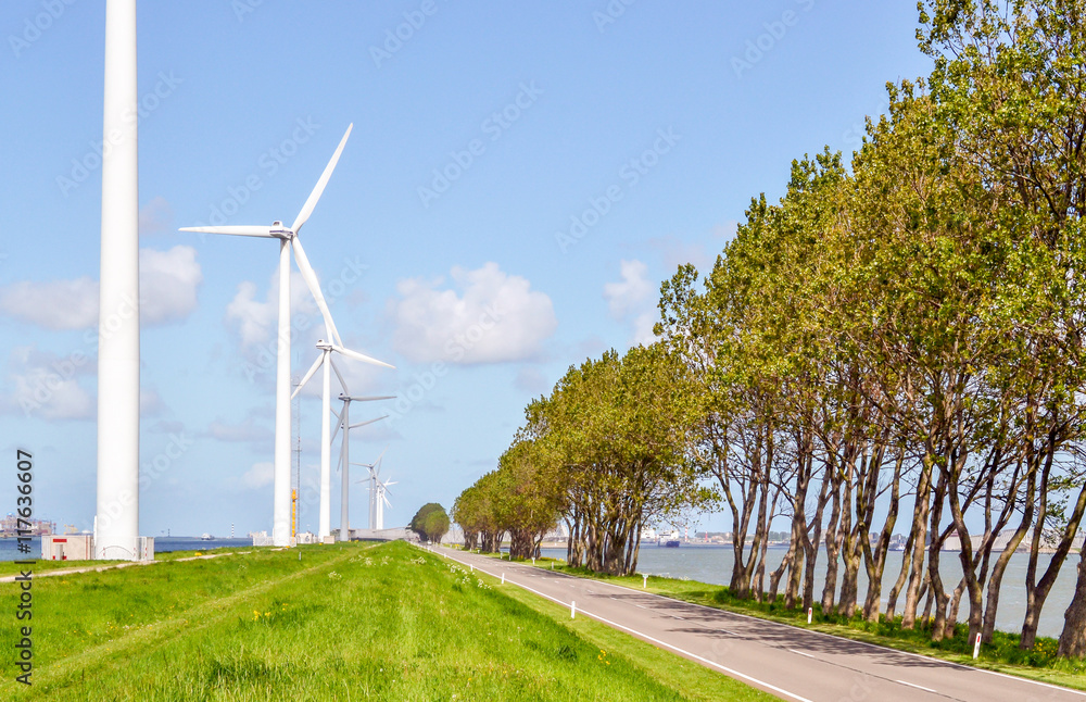 Windmills down the road.
